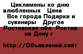 Цикламены ко дню влюбленных › Цена ­ 180 - Все города Подарки и сувениры » Другое   . Ростовская обл.,Ростов-на-Дону г.